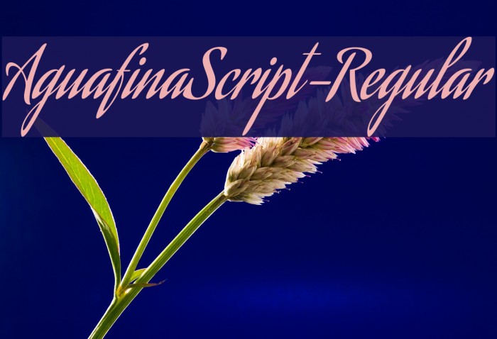 AguafinaScript-Regular Font examples