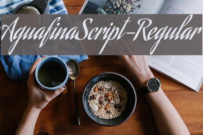 AguafinaScript-Regular Font examples