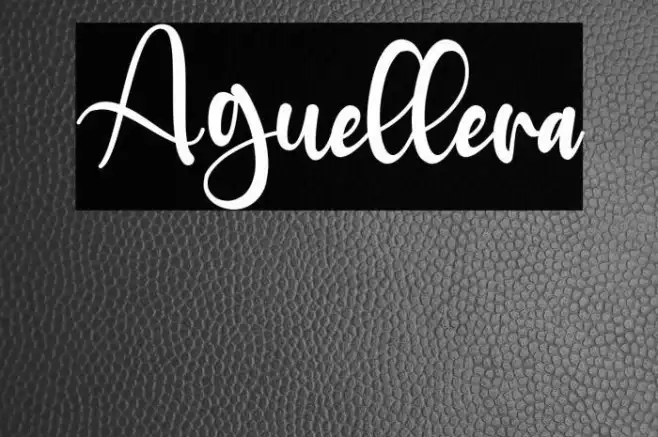 Aguellera Example 1