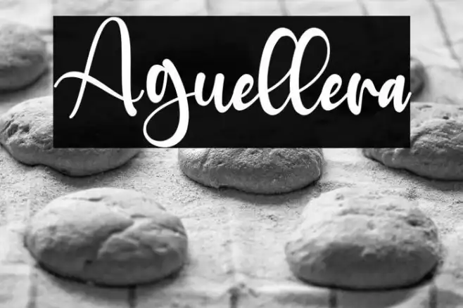 Aguellera Example 2