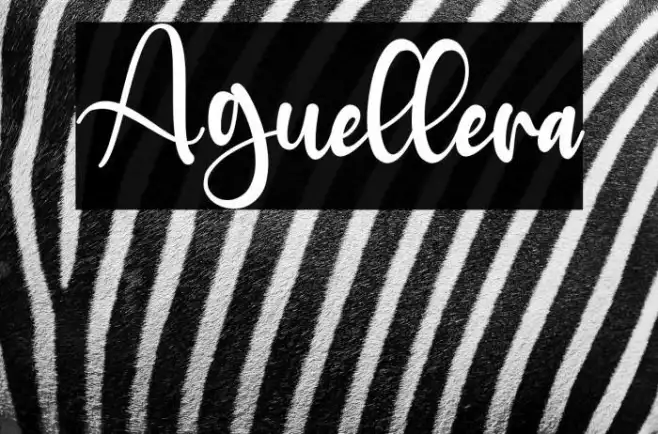 Aguellera Example 3
