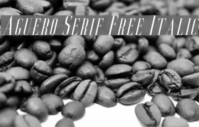 Aguero Serif Free Italic Font examples