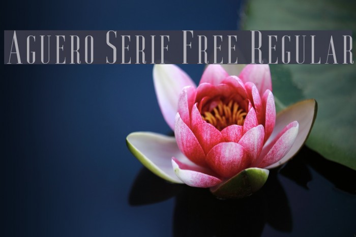 Aguero Serif Free Regular Font examples