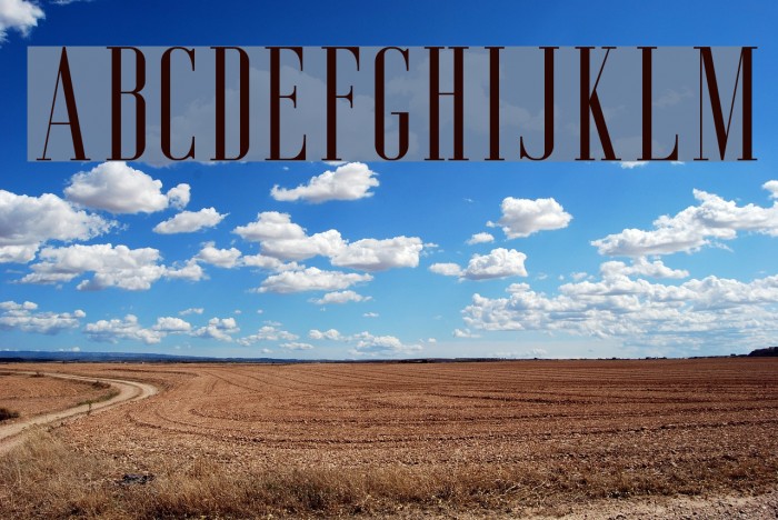AgueroSerifFree-Regular Font examples