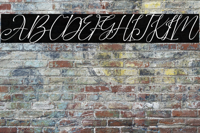 Agus Hasny Example 2