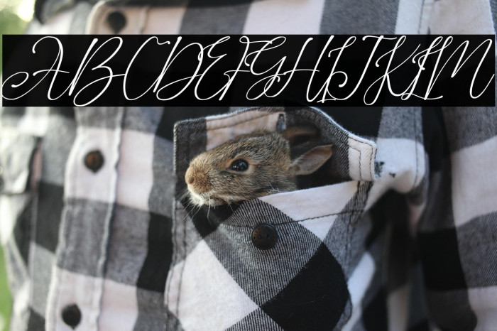 Agus Hasny Example 3