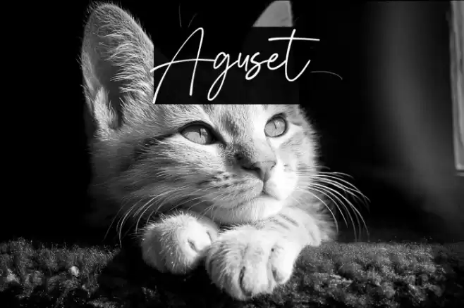 Aguset Fuentes examples