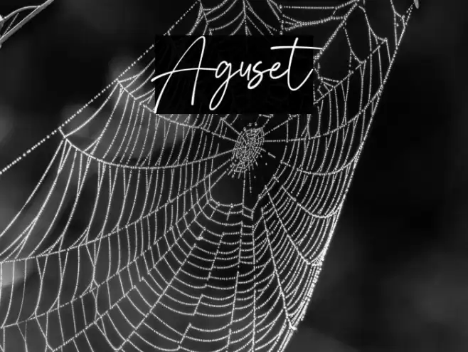 Aguset Fuentes examples