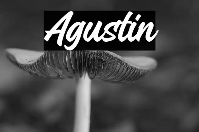 Agustin Font examples