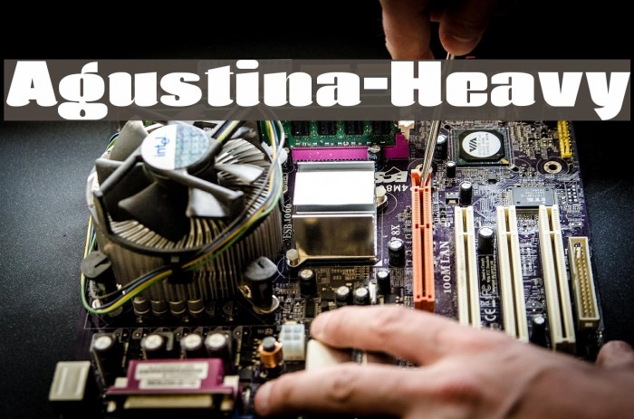 Agustina-Heavy Font examples