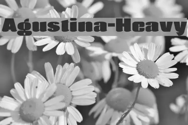 Agustina-Heavy Example 2