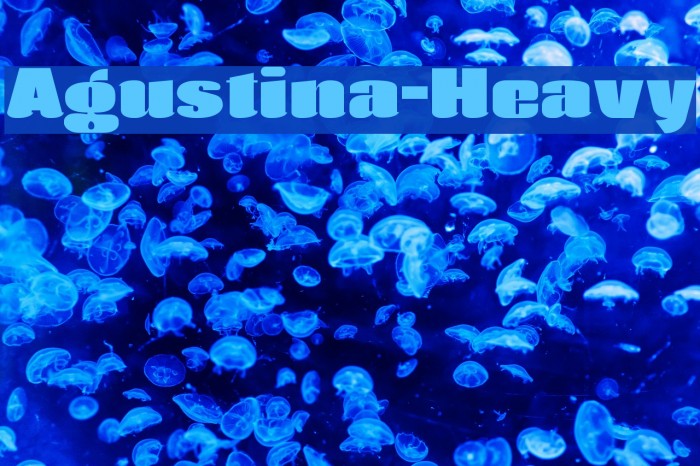 Agustina-Heavy Font examples