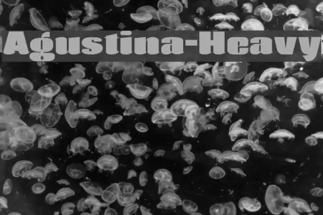 Agustina-Heavy Example 3