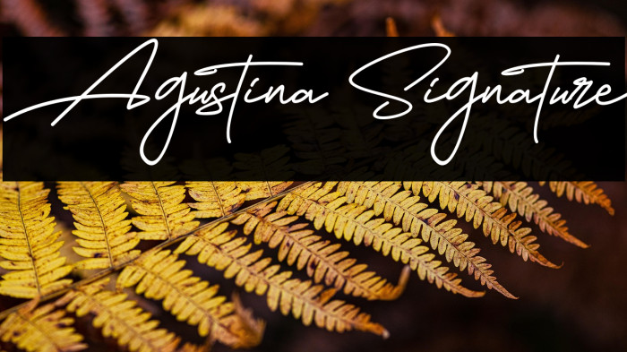 Agustina Signature Example 1