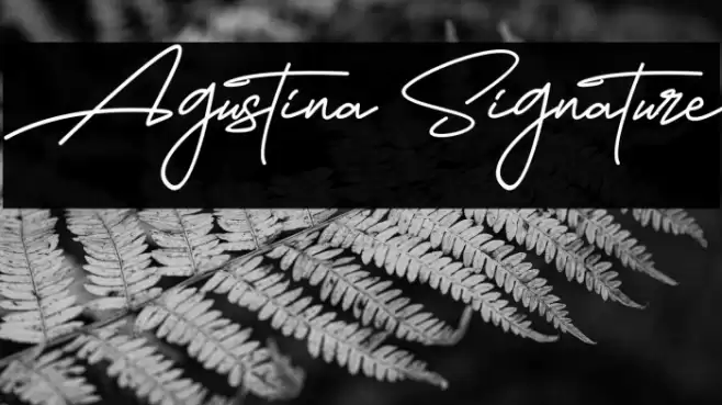 Agustina Signature Font examples