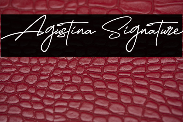Agustina Signature Example 2