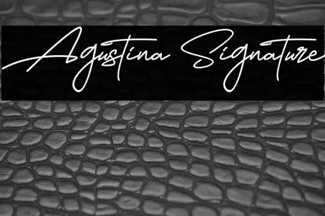 Agustina Signature Font examples
