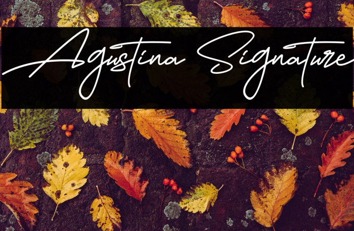 Agustina Signature Example 3