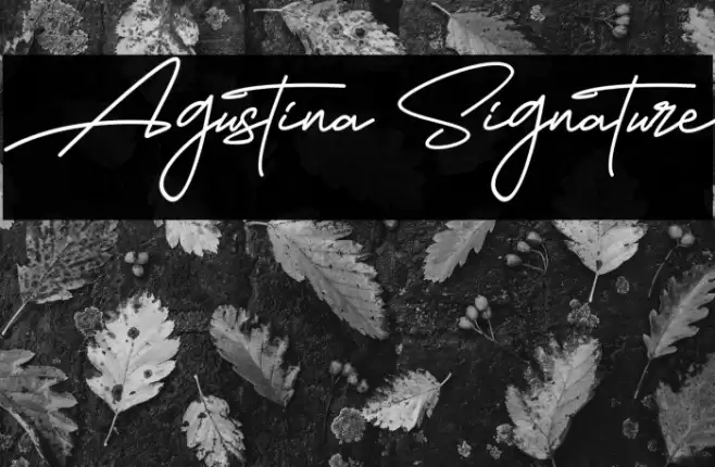 Agustina Signature Font examples