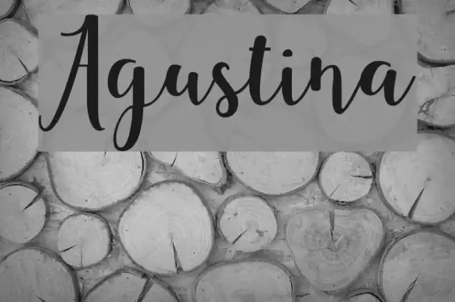 Agustina Example 3