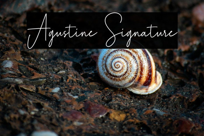 Agustine Signature Example 3