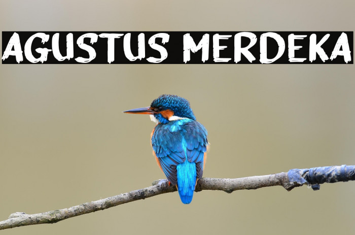 Agustus Merdeka Example 1