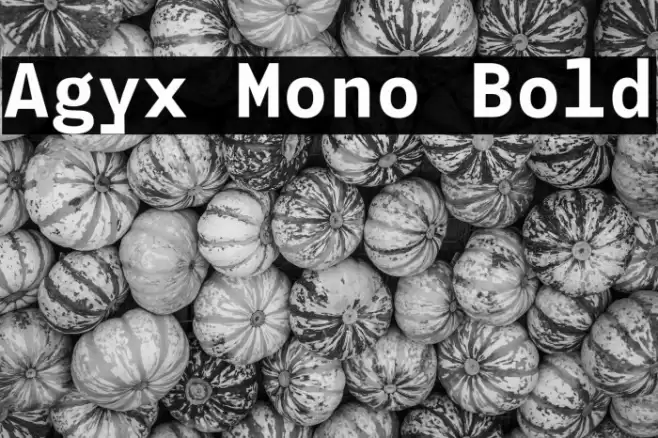 Agyx Mono Bold Font examples