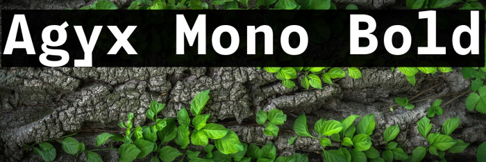 Agyx Mono Bold Example 2