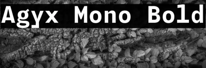 Agyx Mono Bold Font examples