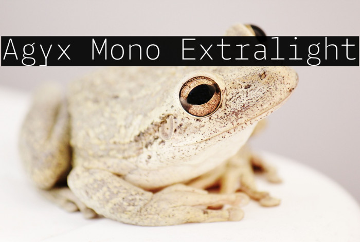 Agyx Mono Extralight Example 3