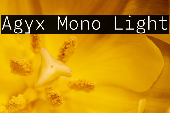 Agyx Mono Light Example 1