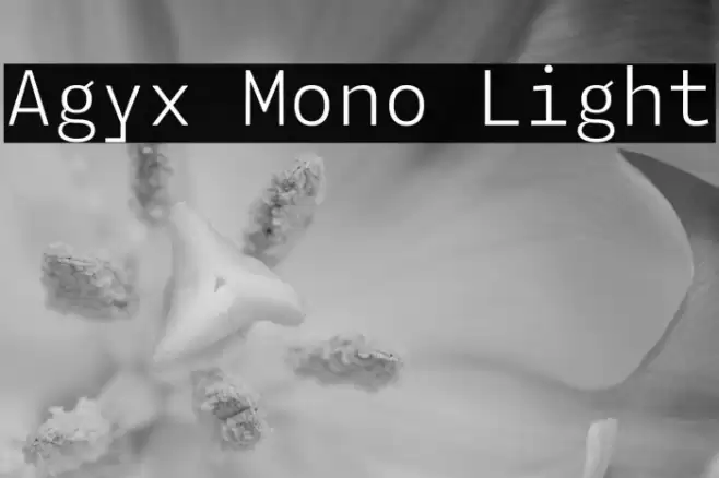 Agyx Mono Light Font examples