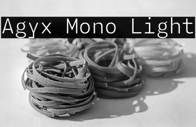 Agyx Mono Light Font examples