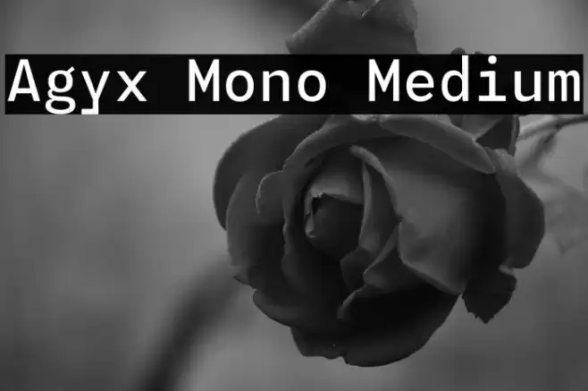 Agyx Mono Medium Font examples