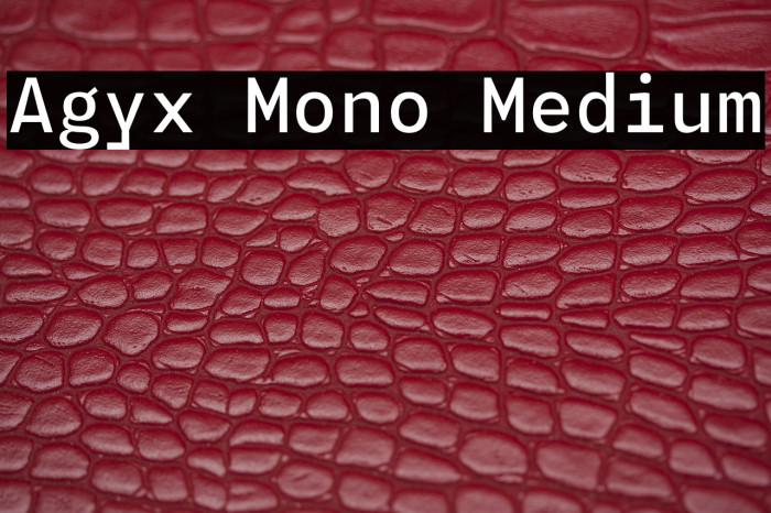 Agyx Mono Medium Example 2