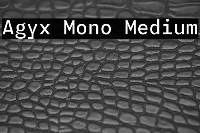 Agyx Mono Medium Font examples