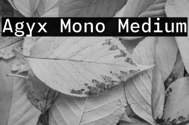Agyx Mono Medium Font examples