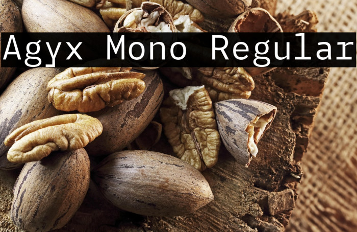 Agyx Mono Regular Example 1