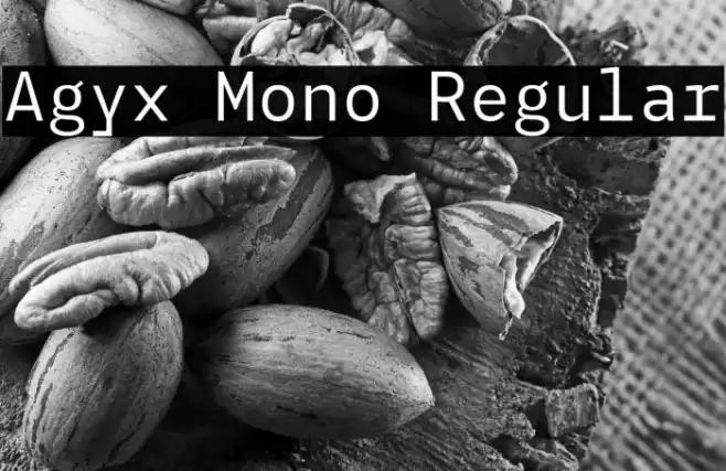 Agyx Mono Regular Font examples