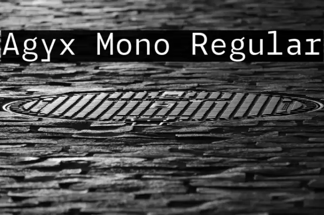Agyx Mono Regular Font examples