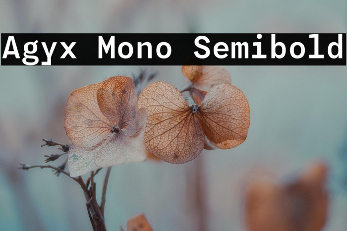 Agyx Mono Semibold Example 2