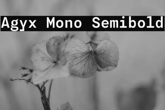 Agyx Mono Semibold Font examples