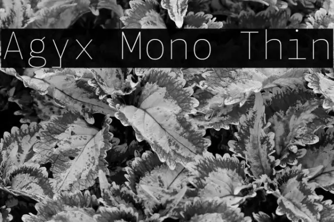 Agyx Mono Thin Example 1