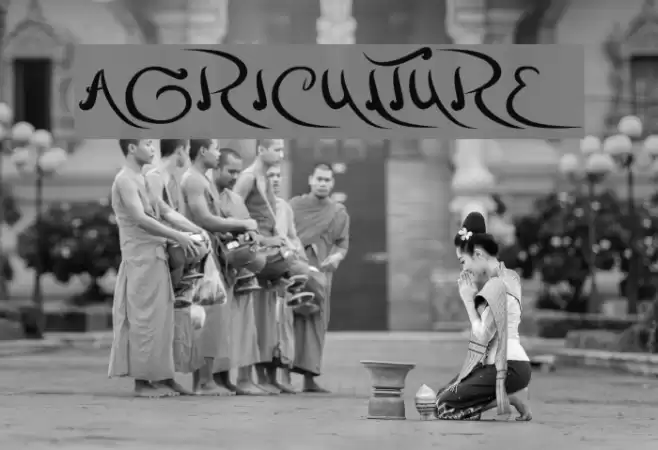 agriculture Font examples