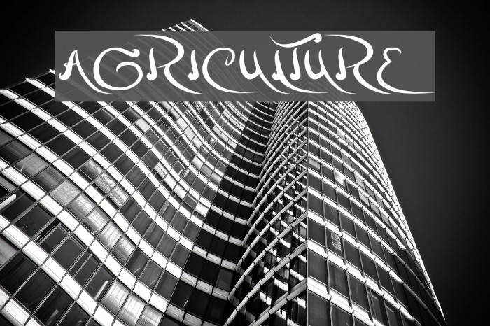 agriculture Fonte examples