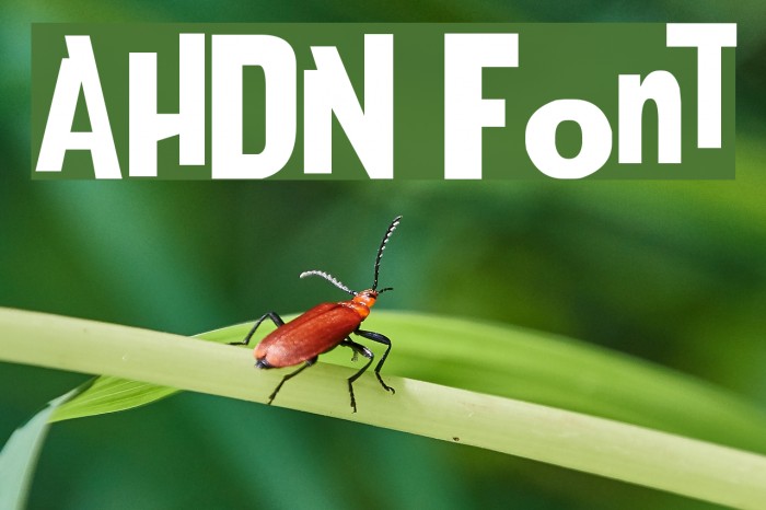 AHDN Font examples