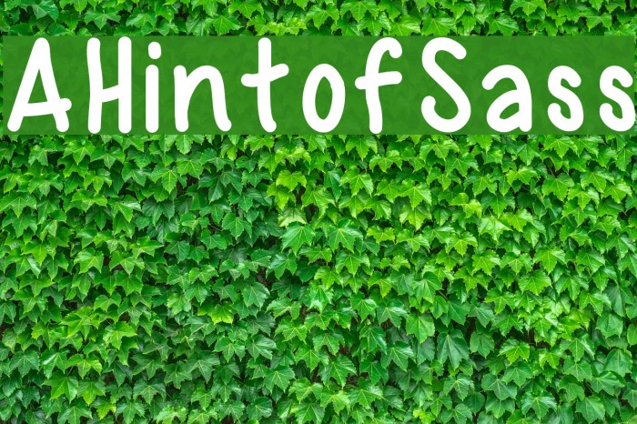 AHintofSass Font examples