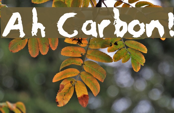 Ah Carbon! フォント examples