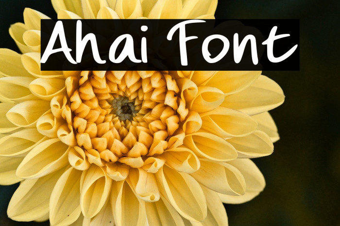Ahai Font Example 3