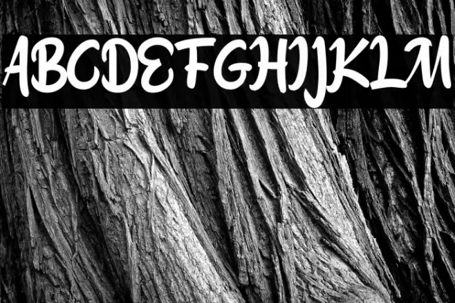 Ahay Hore_ Font examples